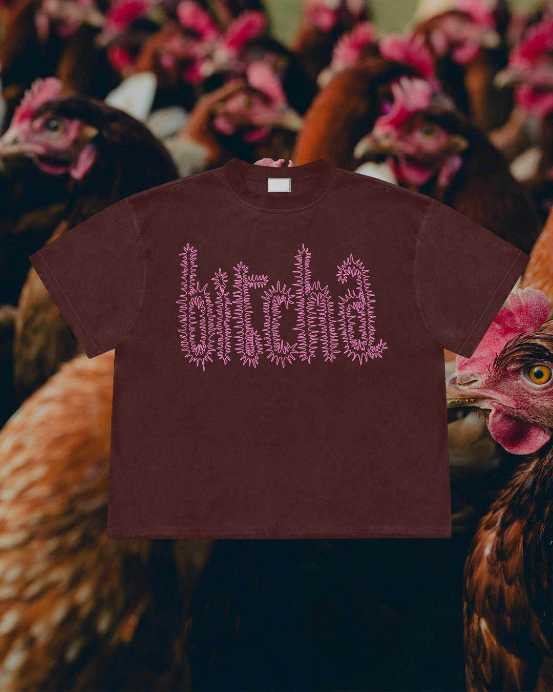 bitcha_website